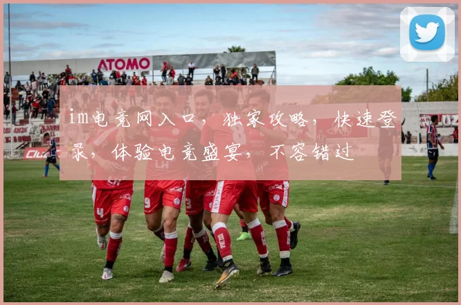 im电竞网入口，独家攻略，快速登录，体验电竞盛宴，不容错过