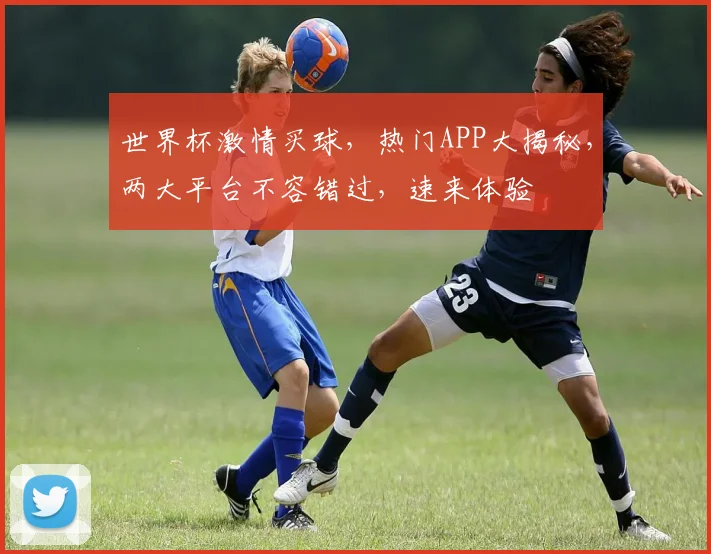 世界杯激情买球，热门APP大揭秘，两大平台不容错过，速来体验