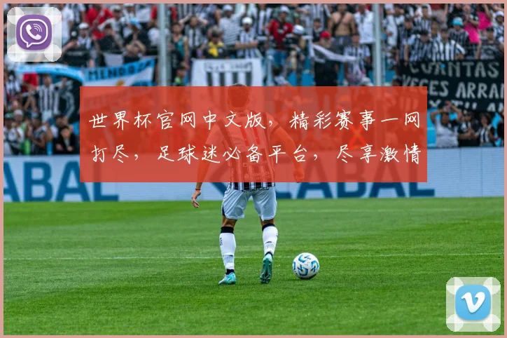 世界杯官网中文版，精彩赛事一网打尽，足球迷必备平台，尽享激情盛宴