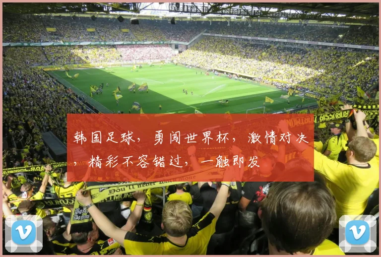 韩国足球，勇闯世界杯，激情对决，精彩不容错过，一触即发